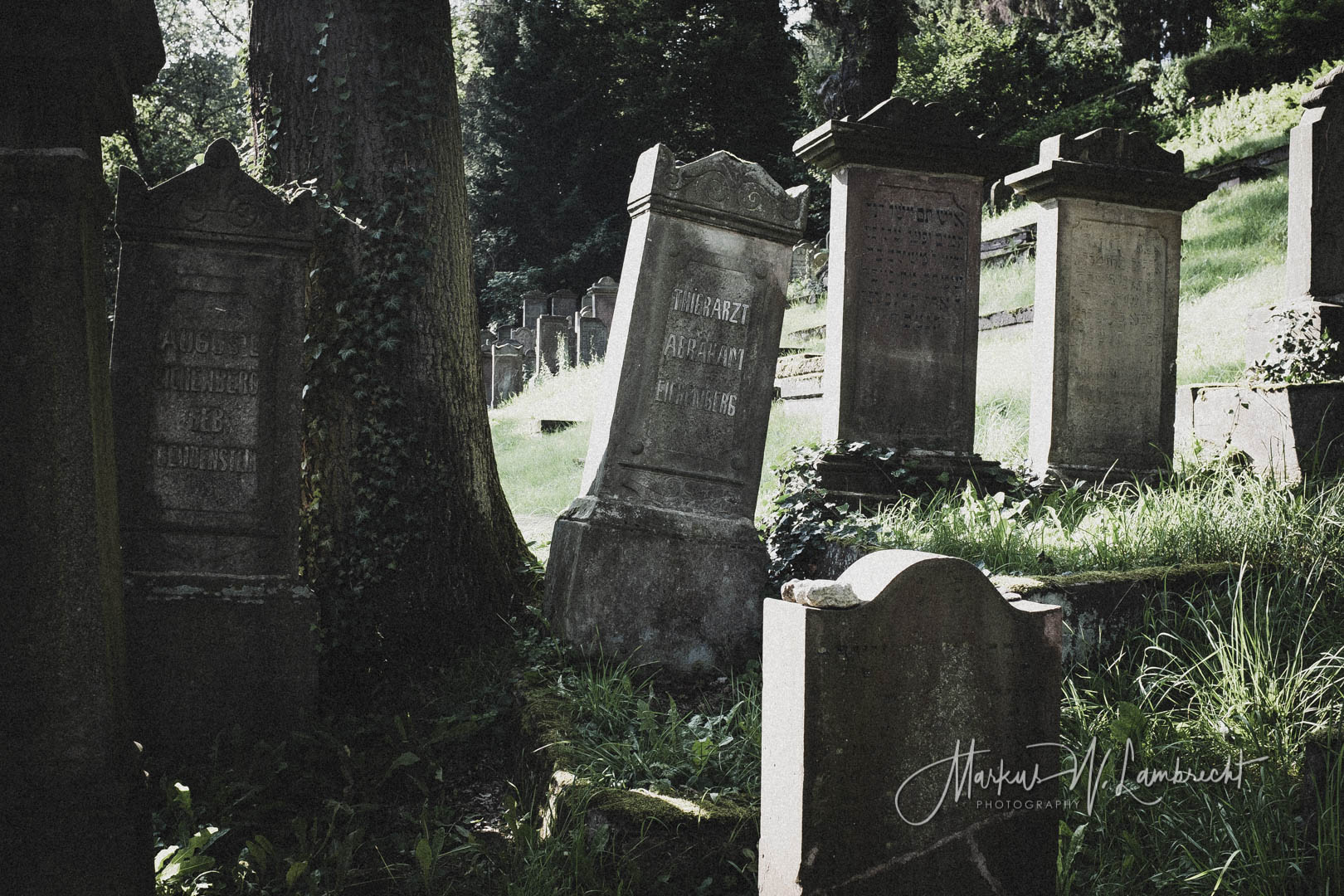 Adelebsen, Jüdischer Friedhof